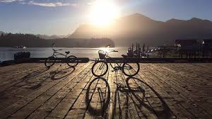 TOF Cycles x ALTOGEL — Revolusi Digital di Dunia Rental Sepeda Premium