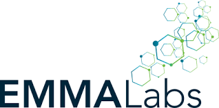 EmmaLabs.com: Tools Marketing Andal untuk Kampanye Email yang Efektif